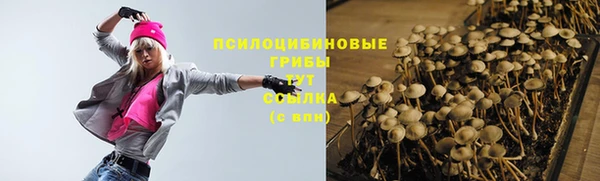 ECSTASY Абдулино