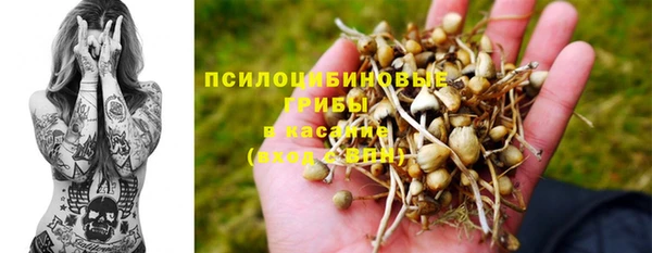 тгк Алексеевка