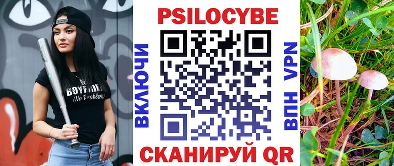 Галлюциногенные грибы Cubensis  Амурск 